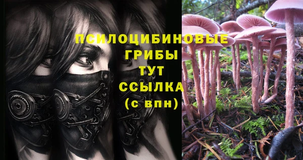марки nbome Михайловск