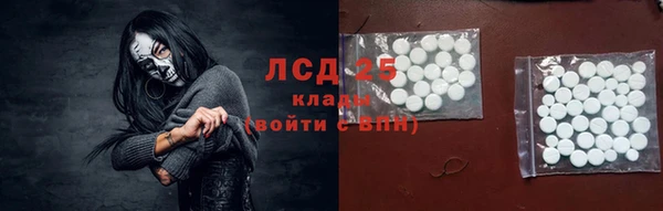 тгк Бородино
