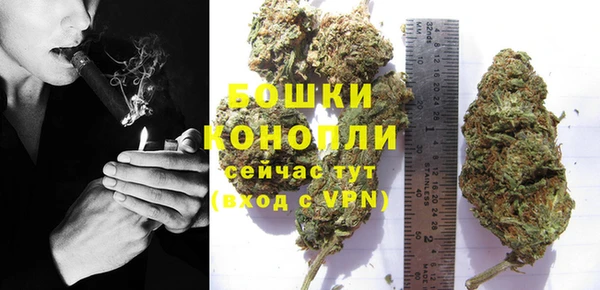 соль ск Михайлов