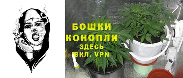 соль ск Михайлов